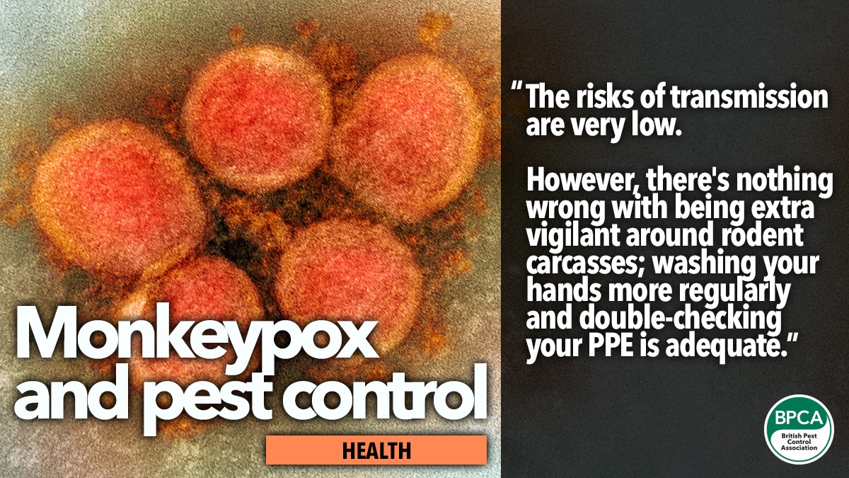 Monkeypox rats and pest control British Pest Control Association BPCA Monkeypox rats and pest control British Pest Control Association BPCA